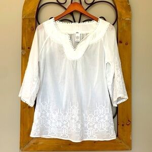 Esley sheer tunic embroidered top